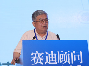 中国城市科学研究会中小城市分会会长 王忠平